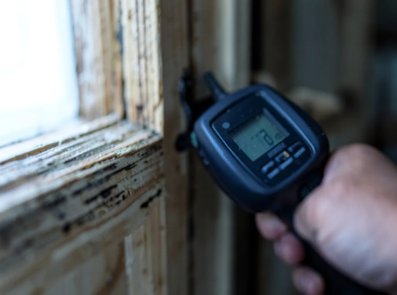 Commercial Water Damage Restoration in Pine, AZ